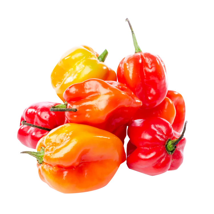 Habanero Red Hot