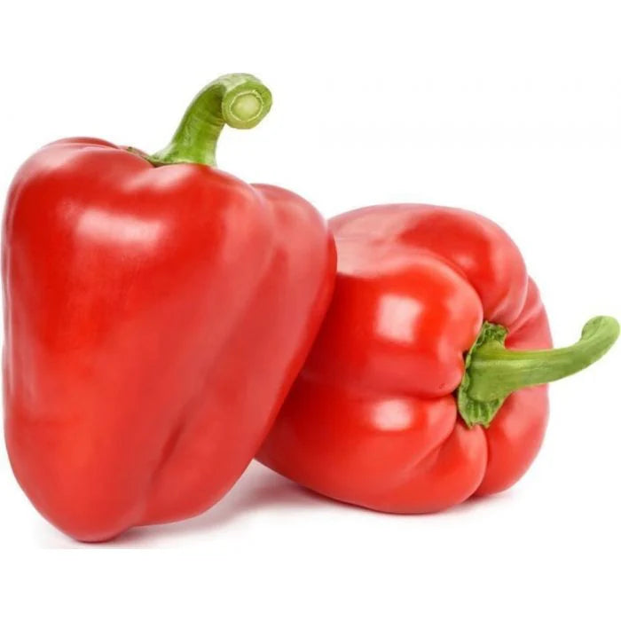 Red Capsicum Bell Pepper (Netherlands) Loose