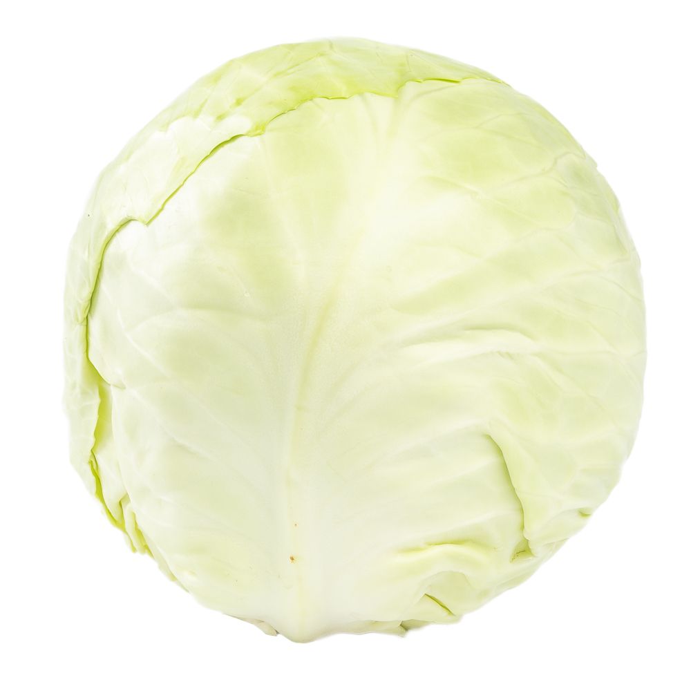 White Cabbage (Netherlands) Loose