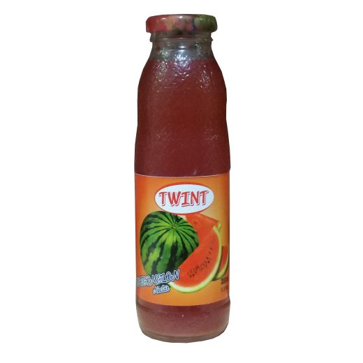 Twint Watermelon Drink Glass (24x350ML)