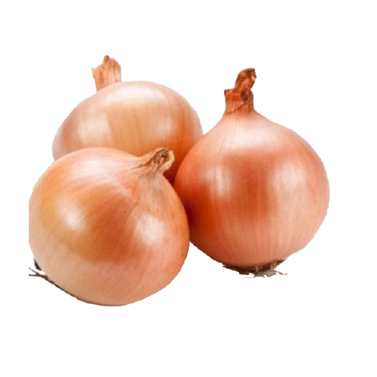 Brown Cooking Onions  (UK) 1x10kg