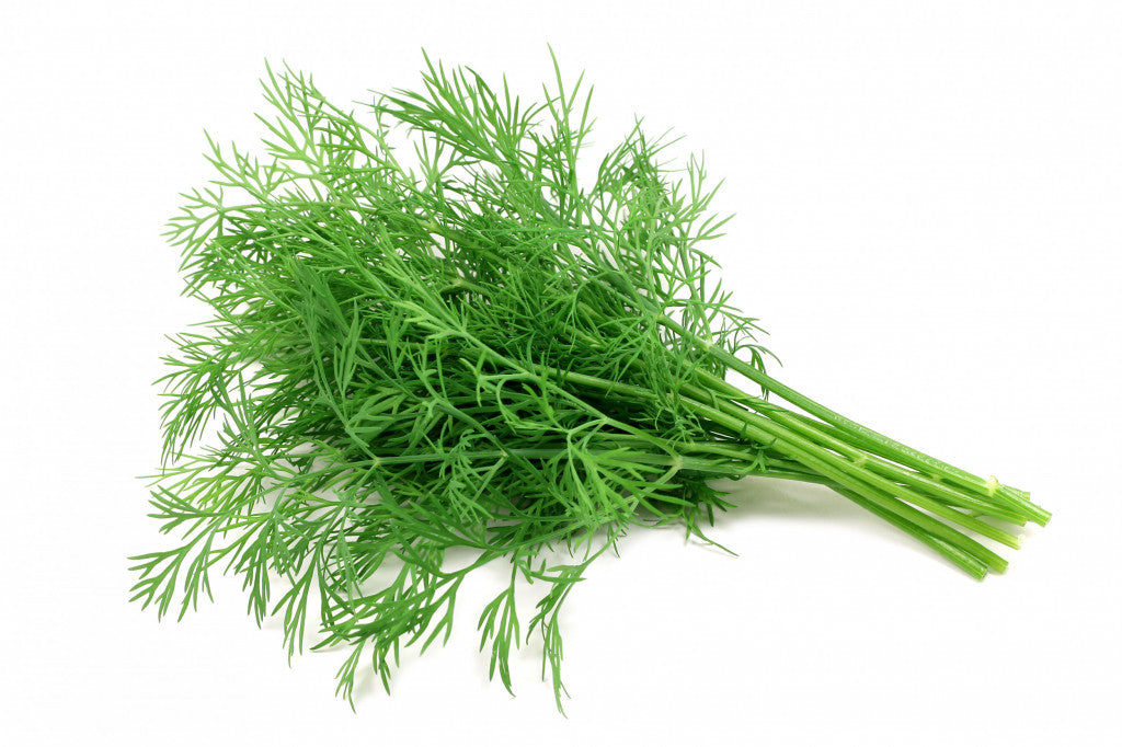 Dill Bunch