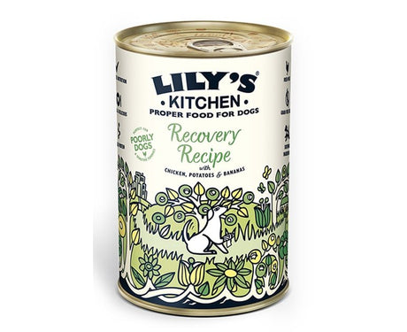 Lily's Kitchen Recovery Recipe For Dogs 400G