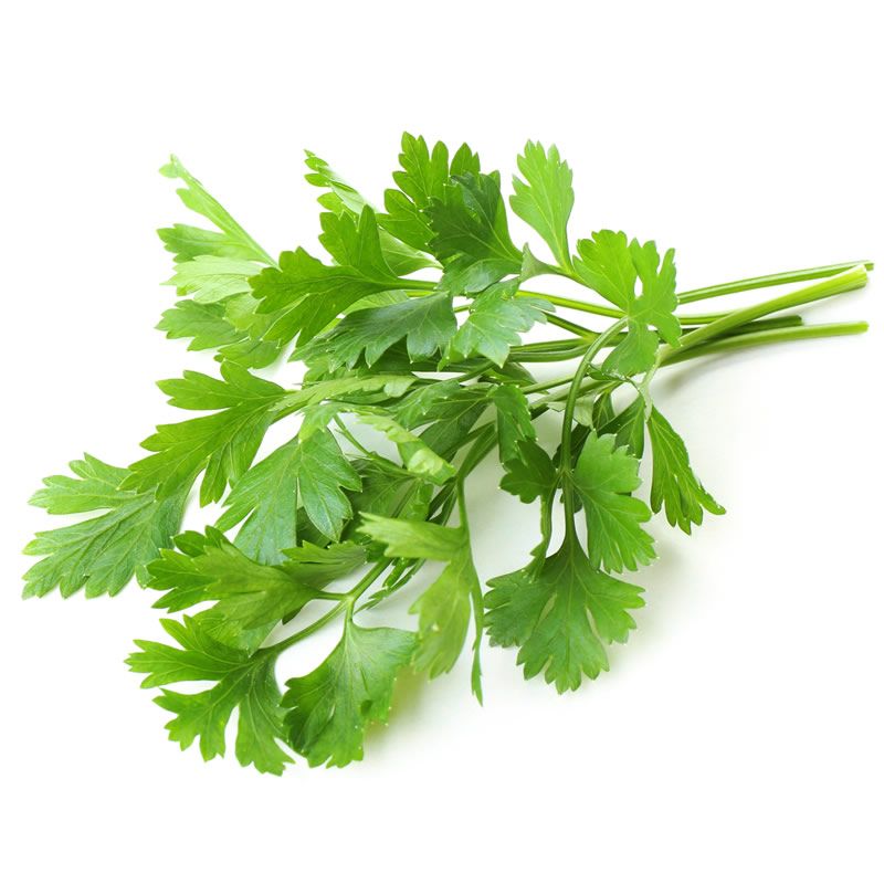 Flat Leaf Parsley Bunch