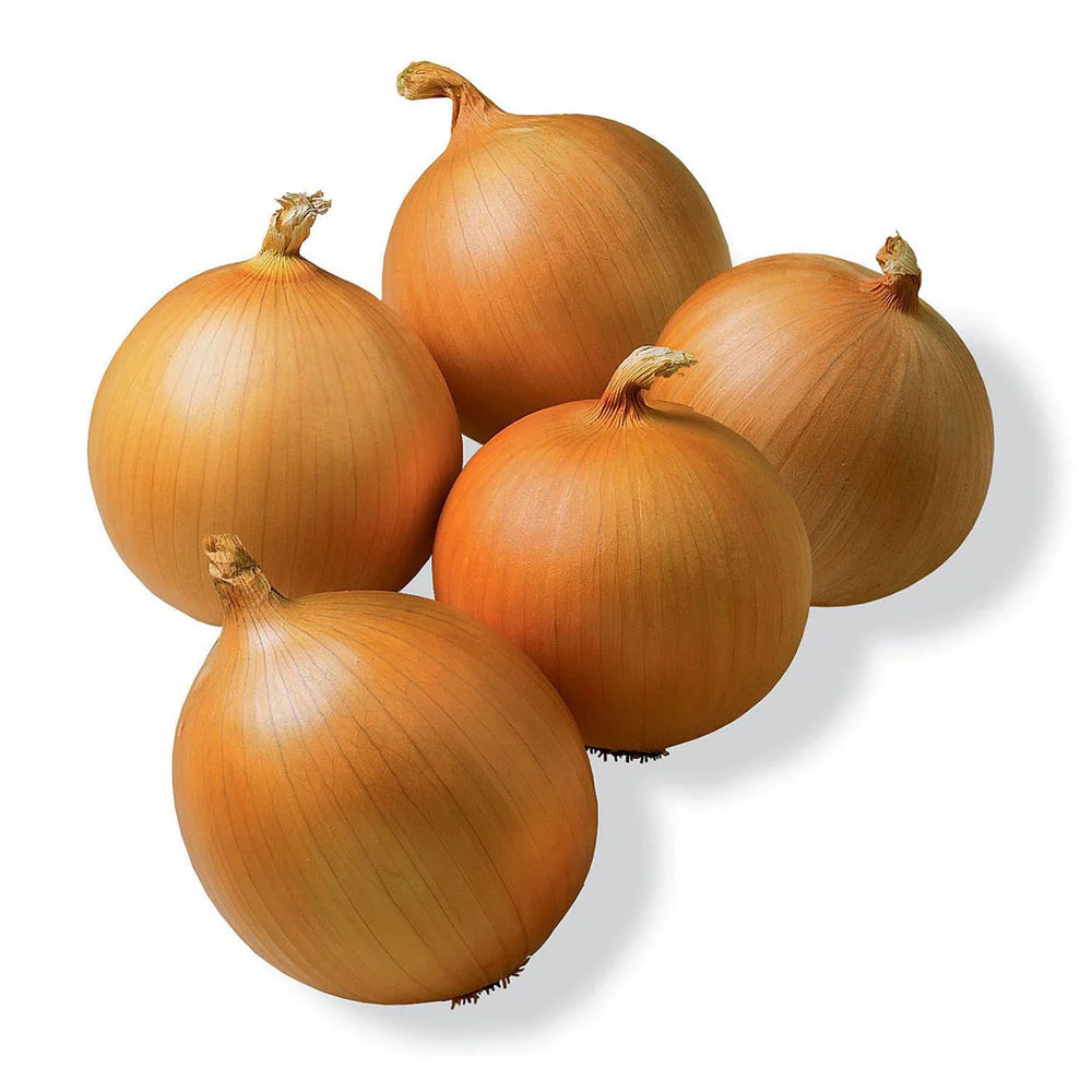 Brown Cooking Onions  (UK) 1x20kg